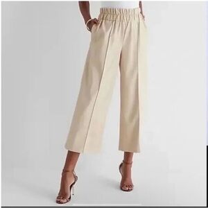 Express Faux Leather Wide Leg Cropped Pants, Size XL